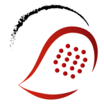 PADELDOME NIGHT CIRCUIT – Professional