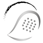 💥Racketworld Night Circuit Advanced